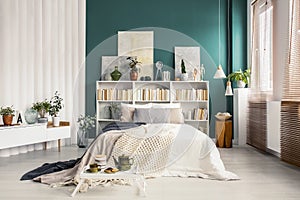 Bookcase headboard in green bedroom