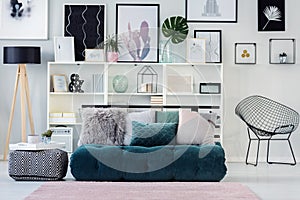 Bookcases and couch with pillows photo