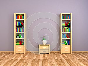 Bookcases at the wall photo