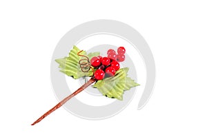 Bookmark twigs and berries