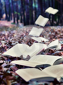 Books in autumn