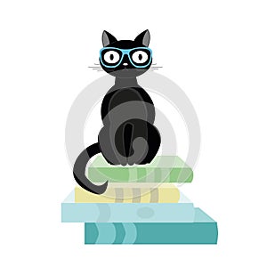 Books and black cat