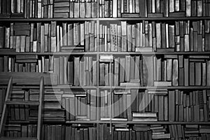 Books on bookcase in black and white