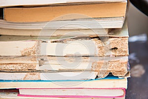 Books damaged by termites eat photo