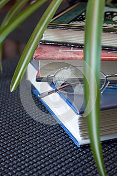 Books. Glasses and Green Plant