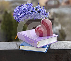 Books and hyacinth flower. concept of reading, education, aesthetics, wisdom