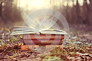 Books on nature sunny background. Sunny day. Mystic day. Mystic books