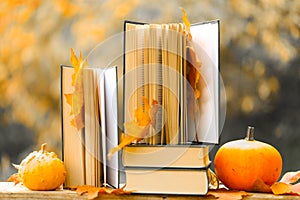 Books and pumpkins set in autumn garden with the rays of the sun.Start school and college season.Books on the autumn