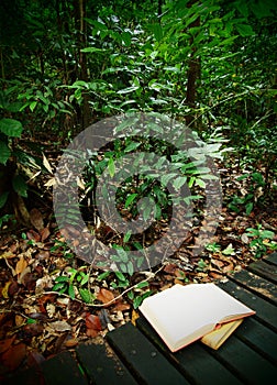 Books on rainforest trail