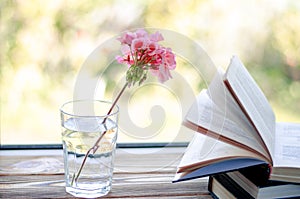 Books are ready for reading lying on a wooden windowsill next to a glass with clear water in which there is a pink geranium flower photo