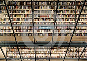 Books shelf