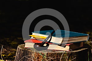 Books, smoking pipe and yellow fallen leaf on a stump in the fall park. Rest and reading in the forest. Closeup