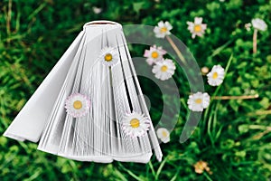 Books about spring and summer. Chamomiles in the pages of books on green grass.