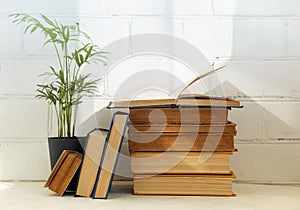 books stacked on top of each other, next to a plant