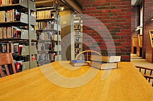 Books on a Table in a Library