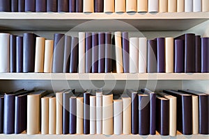 Books on a wooden shelfs.