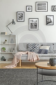 Bookshelf with knick knacks next to comfortable grey sofa in chic living room photo