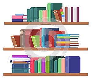 Bookshelves color icon. Library books. Bookstore storage