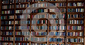 Bookshelves in the library. Book background. Large bookcase with lots of books. Sofa in the room for reading books. Library or