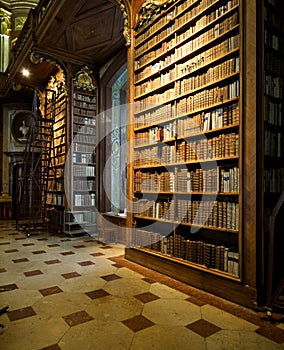 Bookshelves in old Library