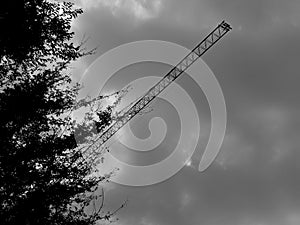 The boom of a construction crane above the thickets of trees, demonstrating the greatness of man over nature.