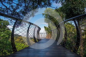 Boomslang walkway in Kirstenbosch Western Cape South Africa