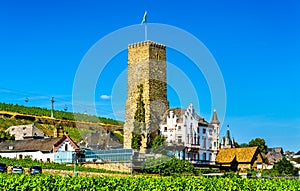 Boosenburg Castle in Ruedesheim am Rhein, Germany