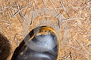 Boot dirtied by ochre. Paint pots, Kootenay National Park photo