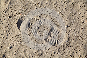 Boot footstep photo