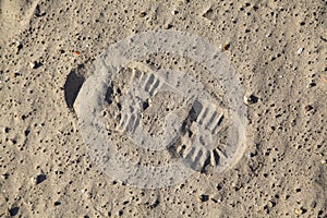 Boot footstep