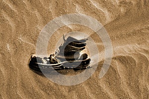 Boot lost in desert