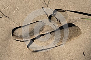 Boot prints on wet sand on the beach.