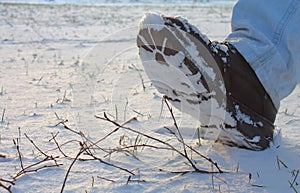 Boot in Snow