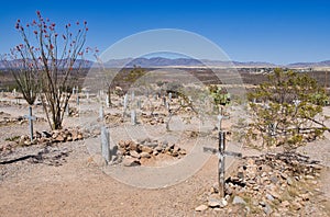 Boothill Cemetery in Tombstone, Arizona
