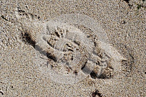 Bootprint on the sand
