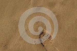 Bootprints in the sand photo