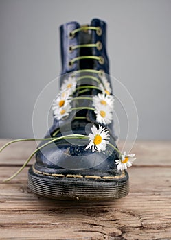 Boots with Daisy Flowers