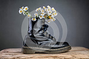 Boots with Daisy Flowers