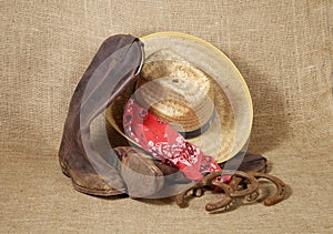 Boots, hat and Horseshoes 3