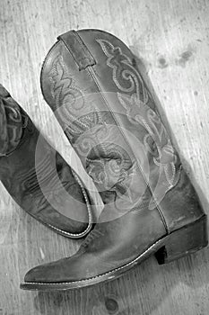 Boots II photo
