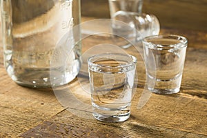 Boozy Alcoholic American Moonshine Shots photo