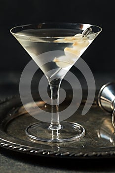 Boozy Dry Gin Gibson Martini