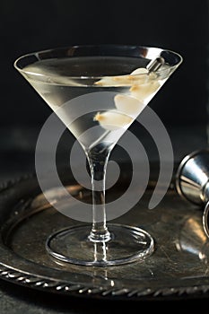 Boozy Dry Gin Gibson Martini