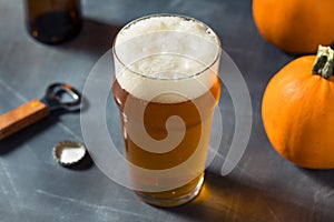 Boozy Refreshing Autumn Pumpkin Beer Ale