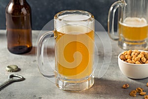 Boozy Refreshing Cold Craft Beer in a Mug