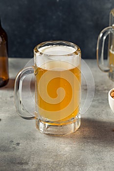 Boozy Refreshing Cold Craft Beer in a Mug