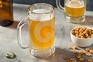 Boozy Refreshing Cold Craft Beer in a Mug