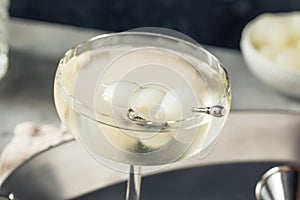 Boozy Refreshing Gin Gibson Martini