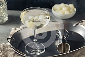 Boozy Refreshing Gin Gibson Martini