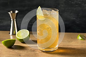 Boozy Refreshing Moscow Mule Cocktail